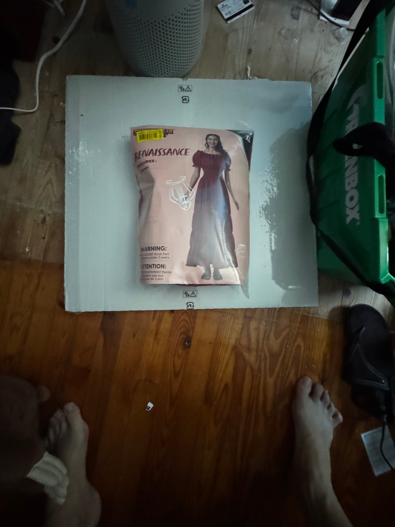 Renaissance Dress Costume