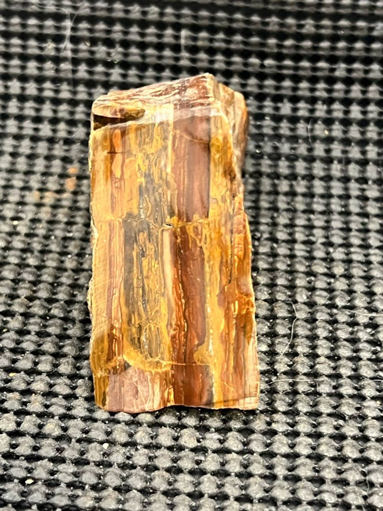 Petrified Wood Brown Slab
