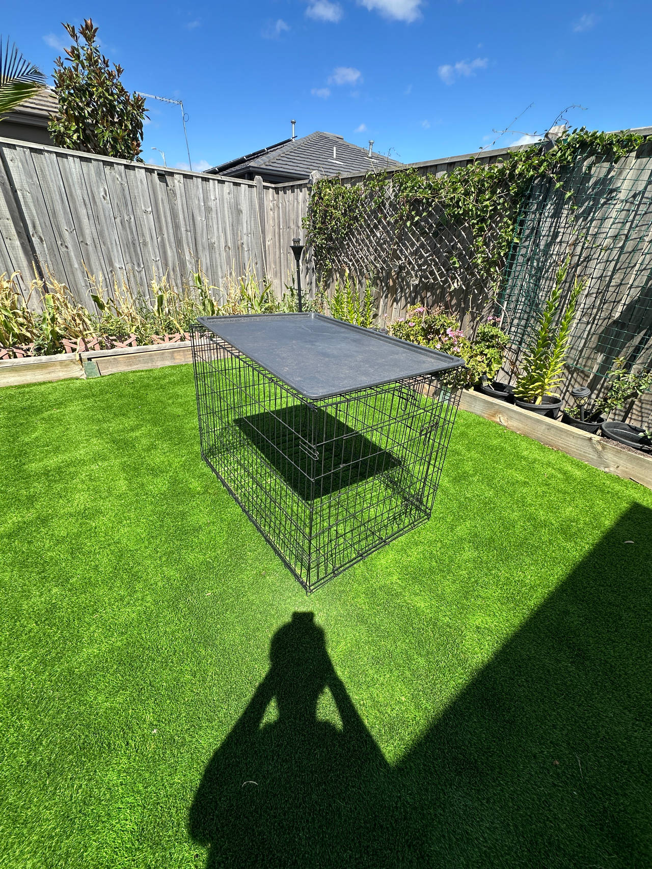 Large Wire Dog Crate with Tray