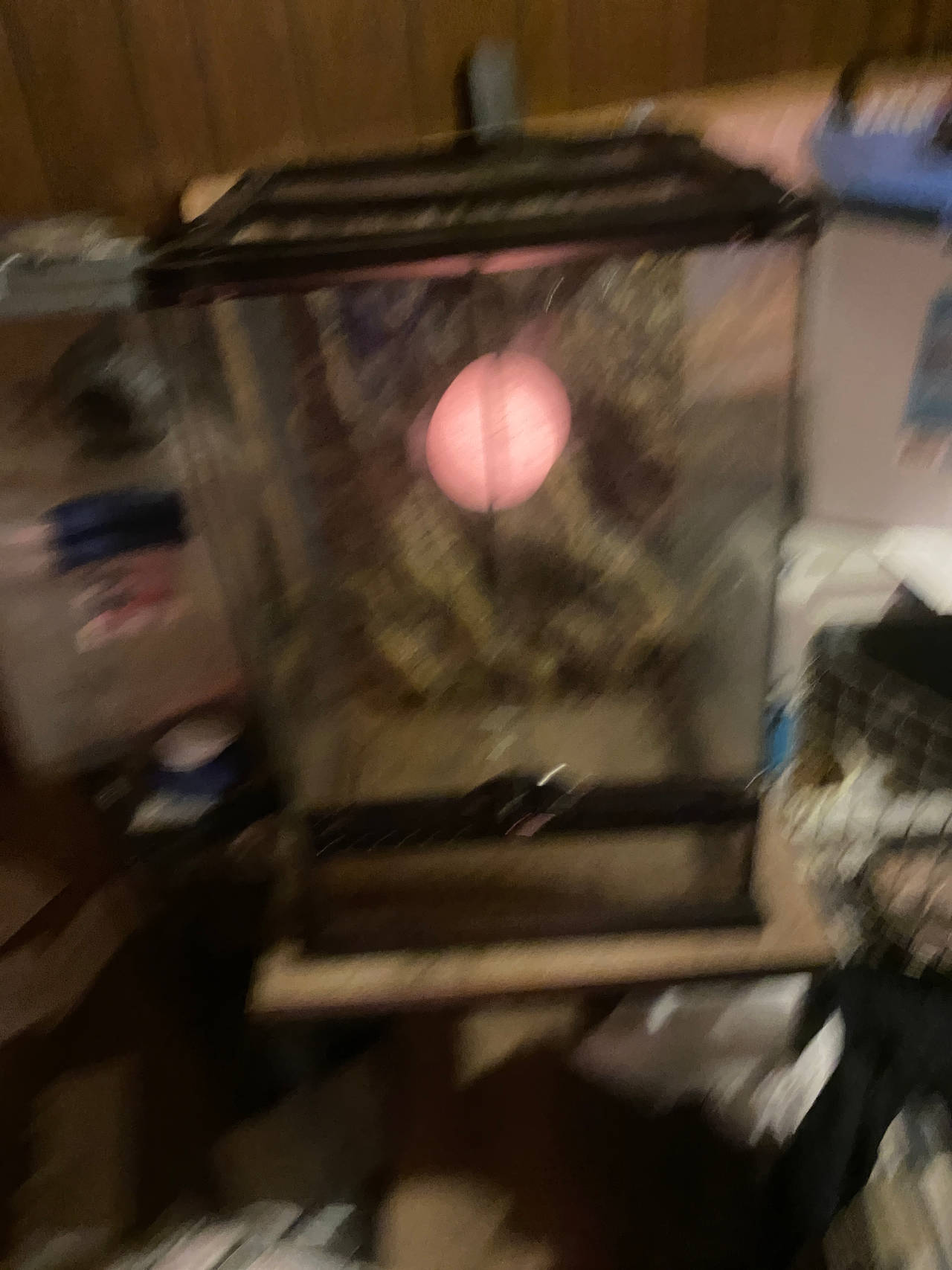 Exo Terra Glass Terrarium 12x12x18