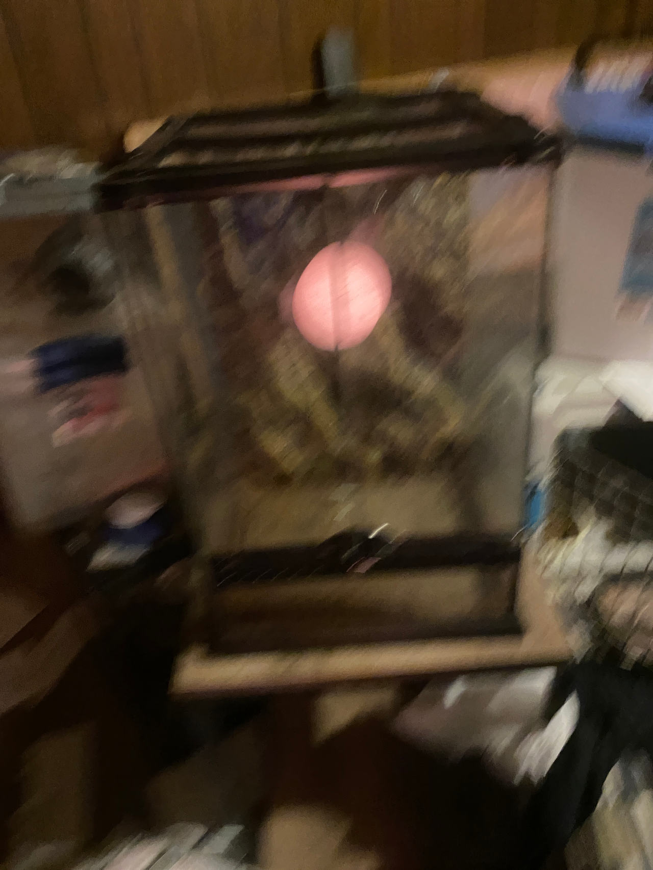 Exo Terra Glass Terrarium 12x12x18