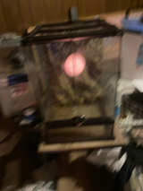 Exo Terra Glass Terrarium 12x12x18 - Image 1