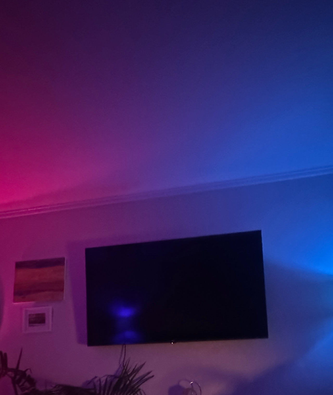 65" Roku Smart TV