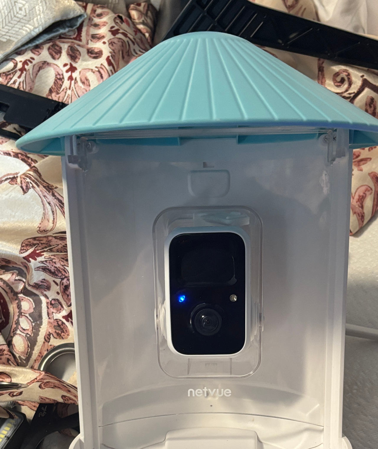 Netvue Birdfy Smart Bird Feeder Camera
