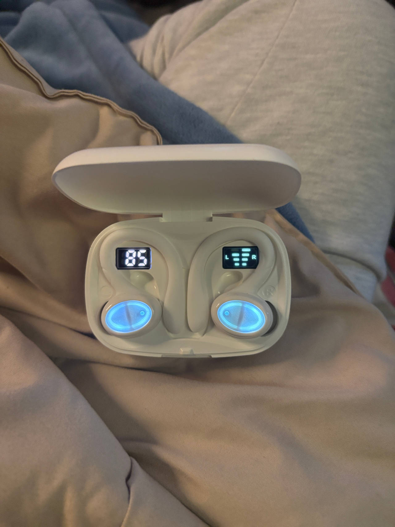 Wireless Bluetooth Earbuds with Earhooks and Charging Case