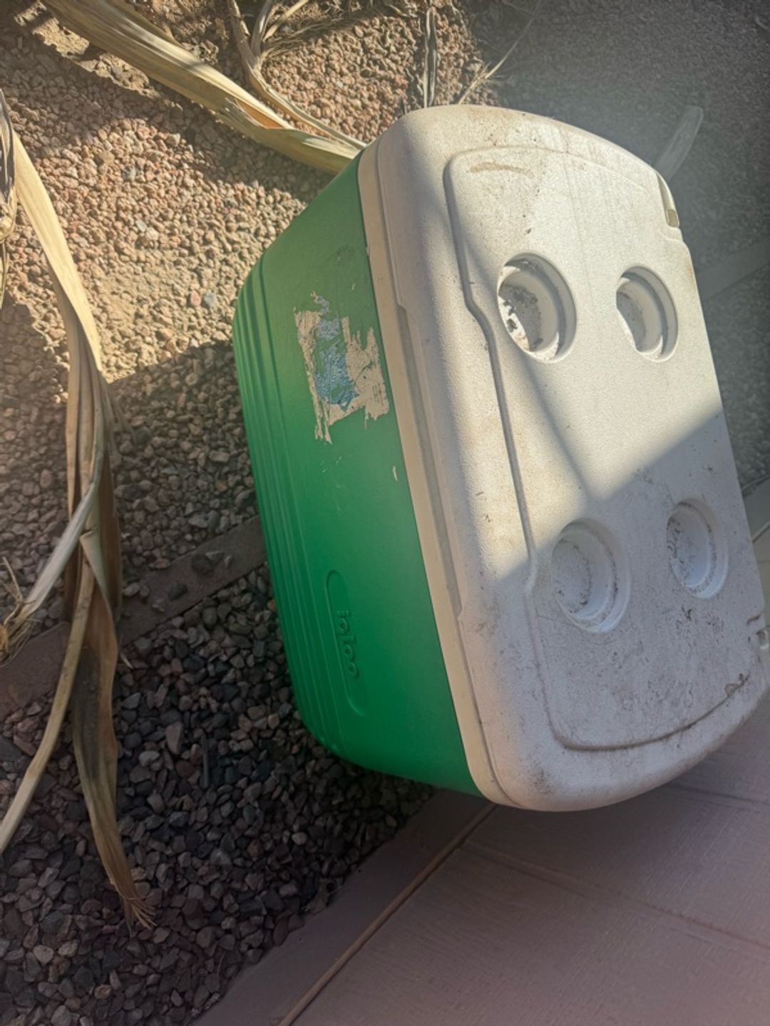 Igloo 48 Quart Cooler with Tray