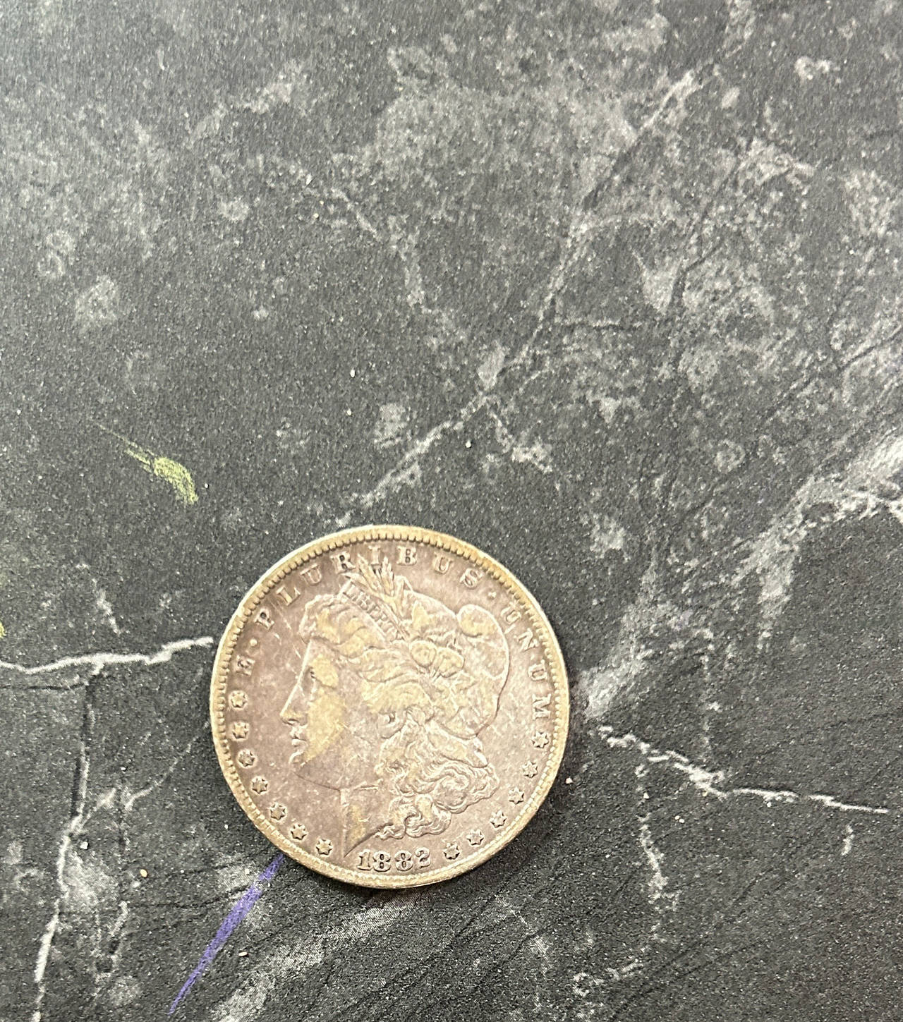 1882 Morgan Silver Dollar