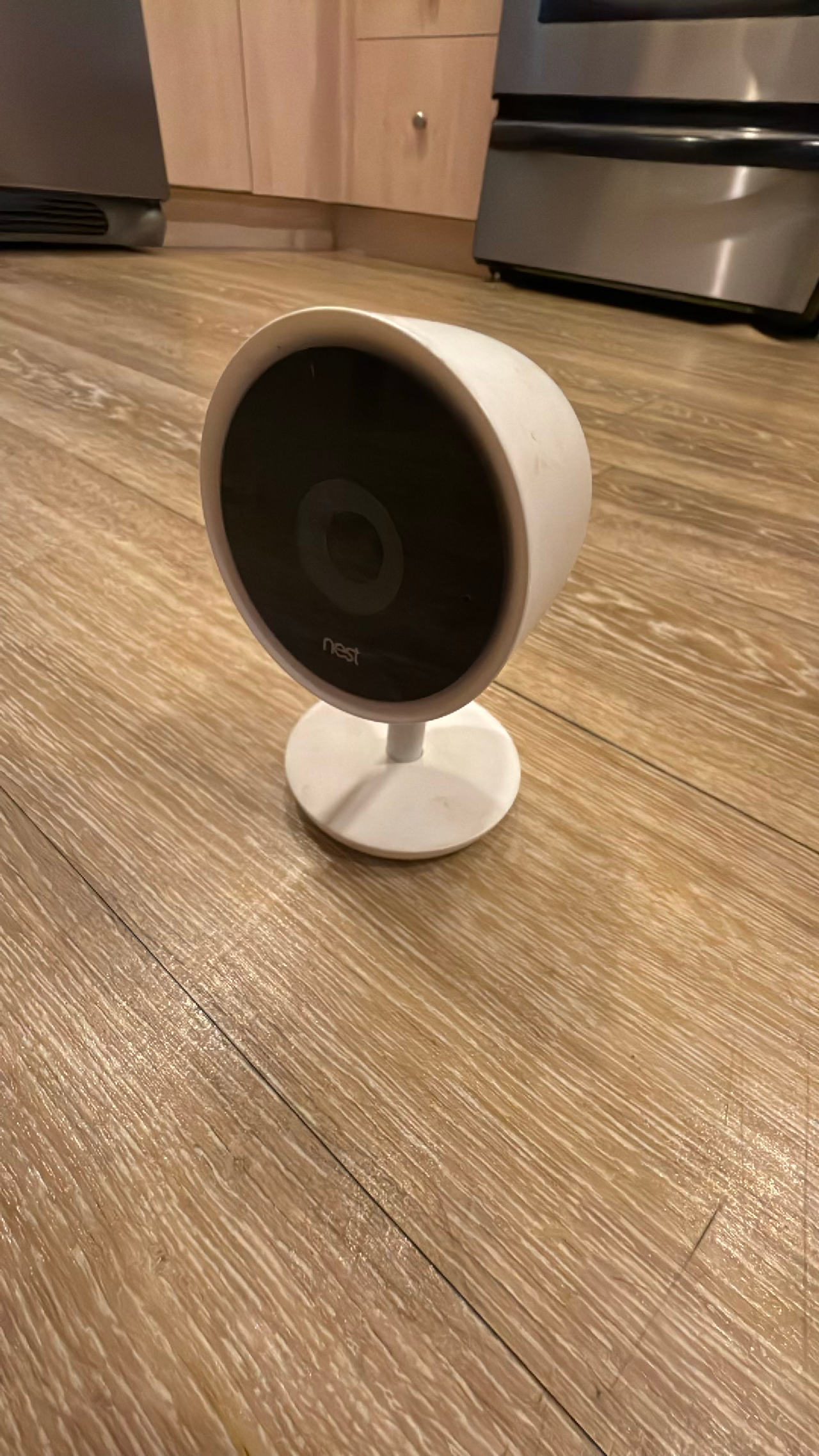 Nest Cam IQ Indoor