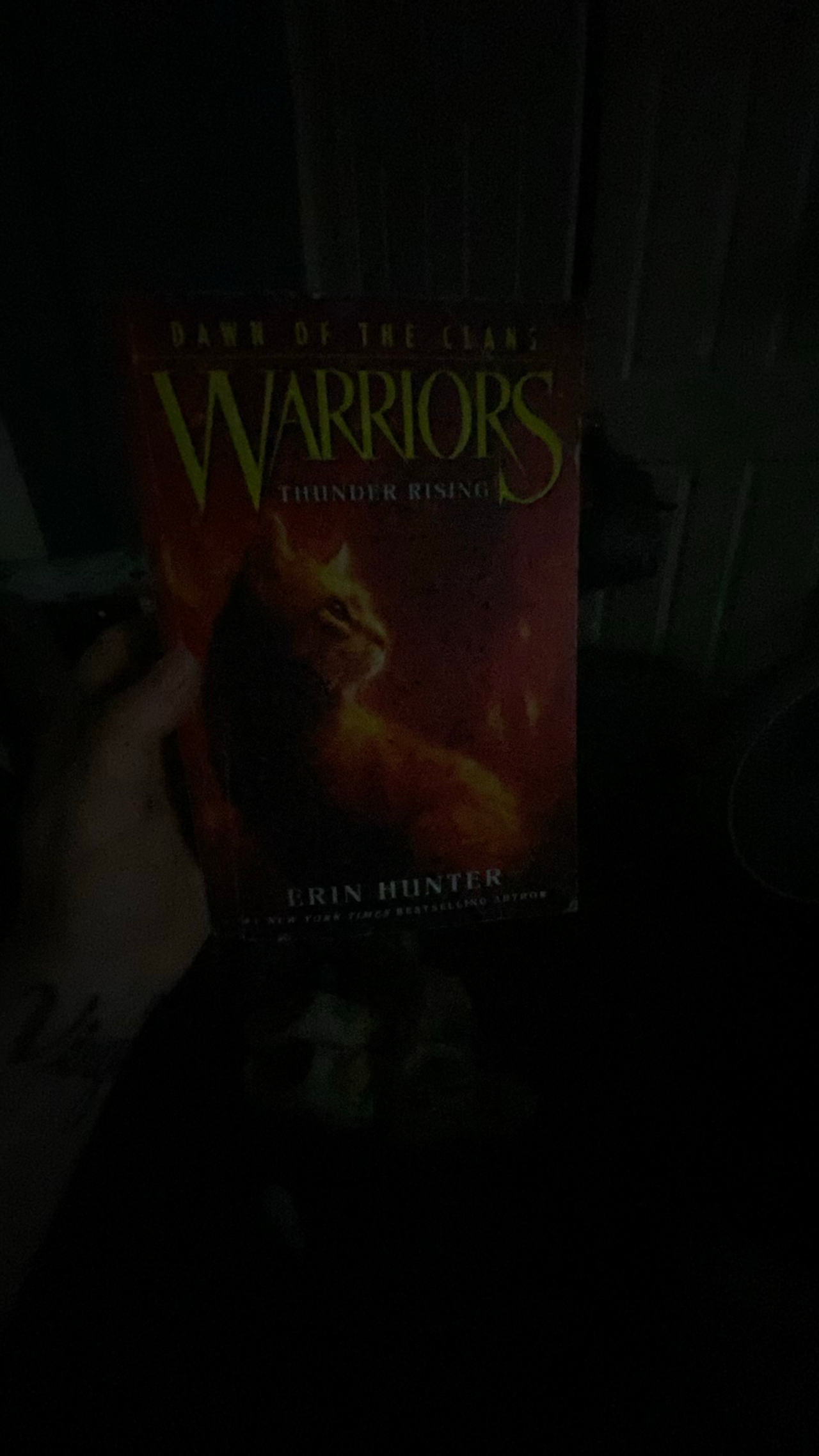 Warriors: Dawn of the Clans - Thunder Rising