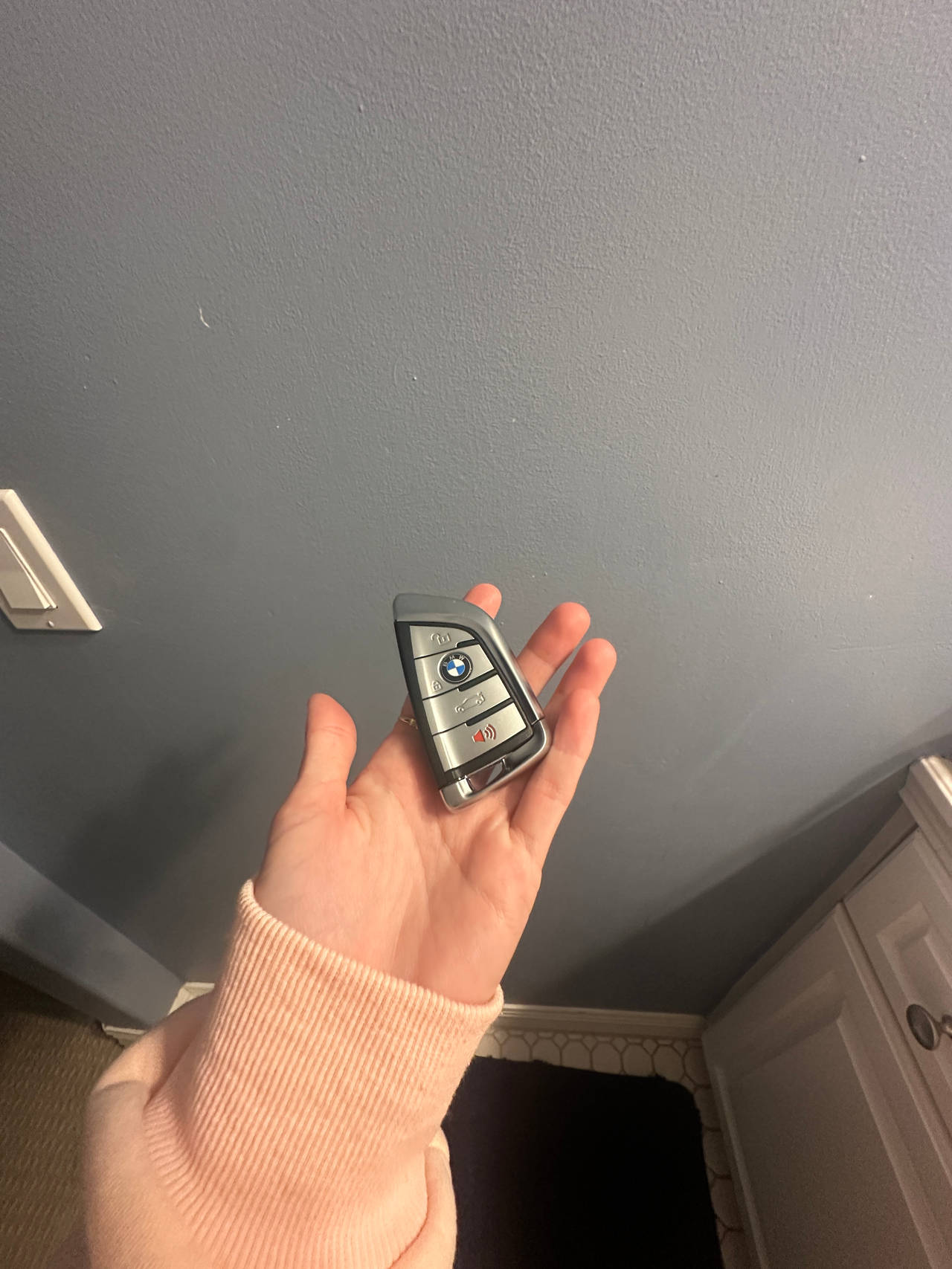 BMW Key Fob