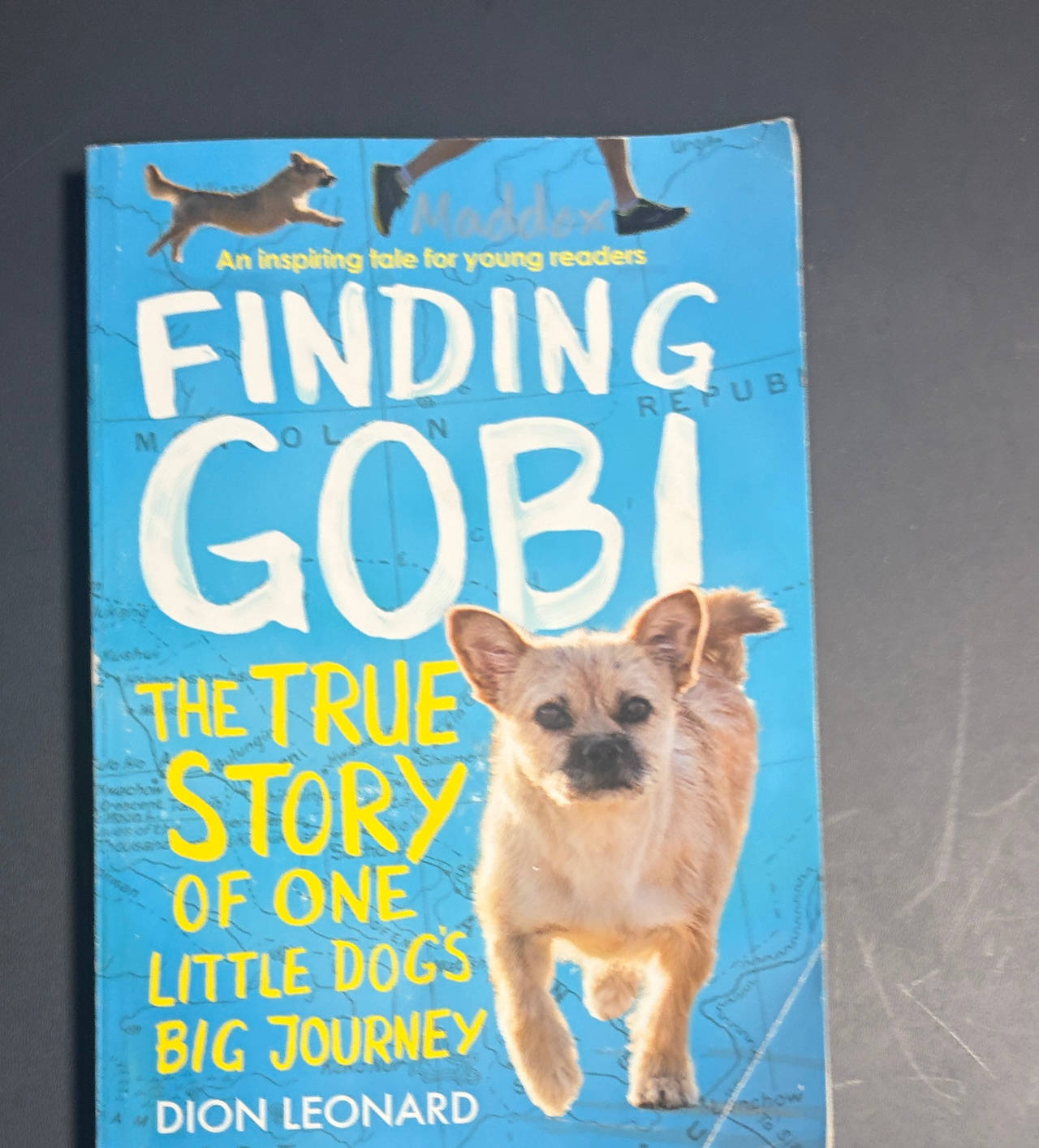 Finding Gobi: The True Story of One Little Dog's Big Journey (Young Readers Edition)