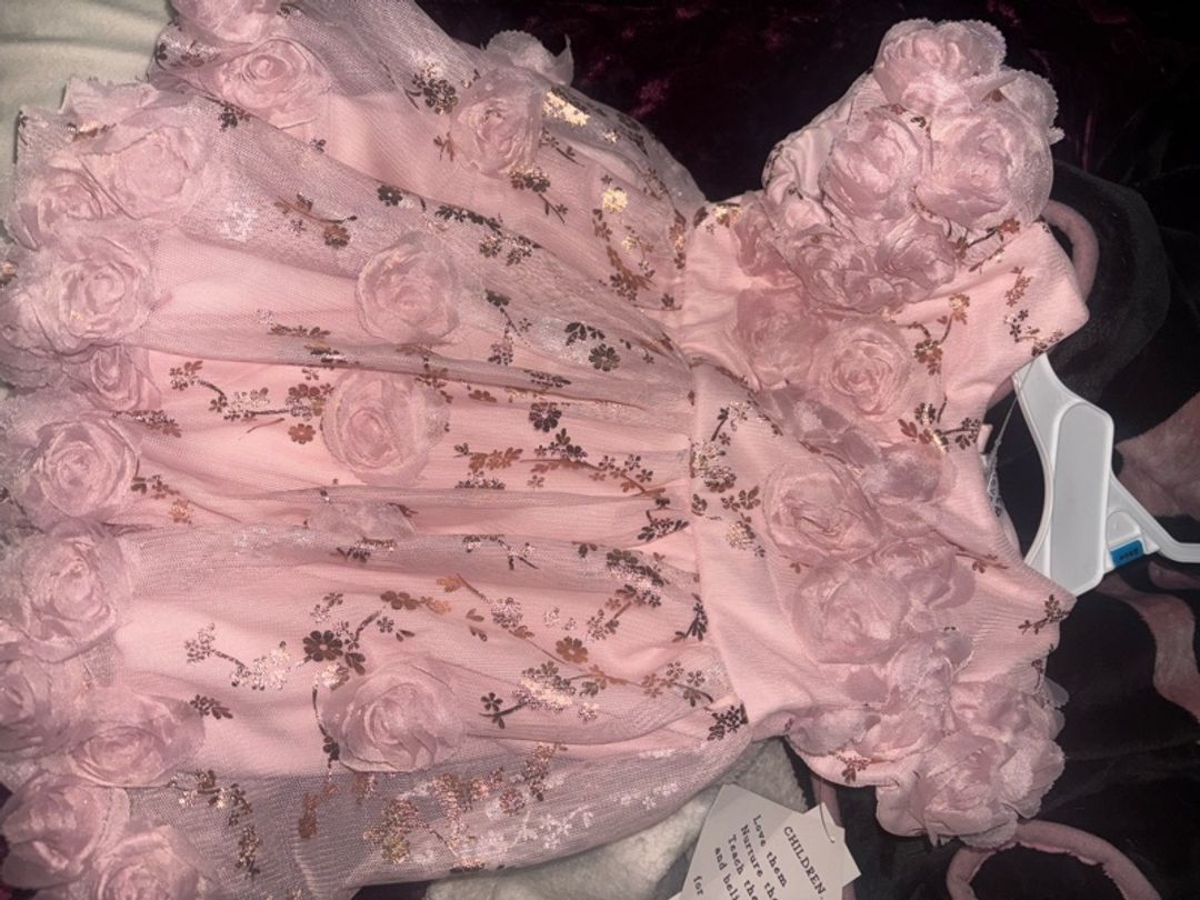 Blush Flower Girl Dress