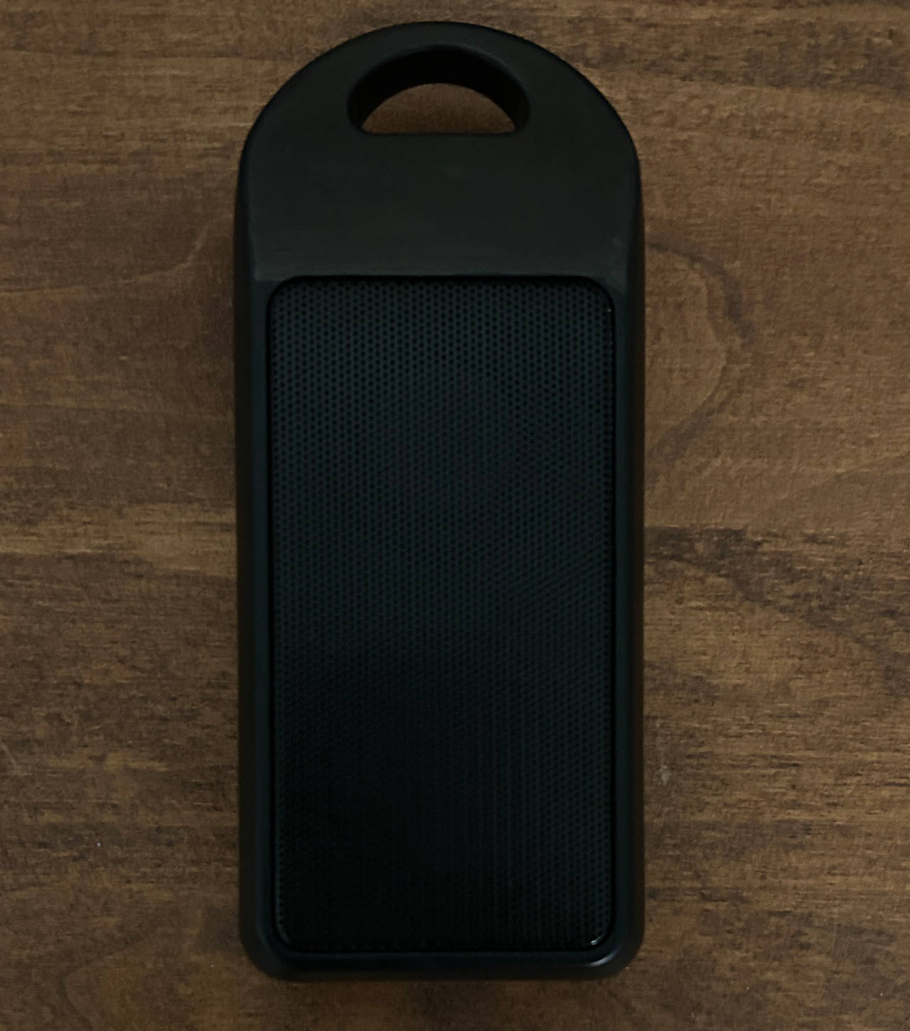 Portable Bluetooth Speaker with Carabiner Loop