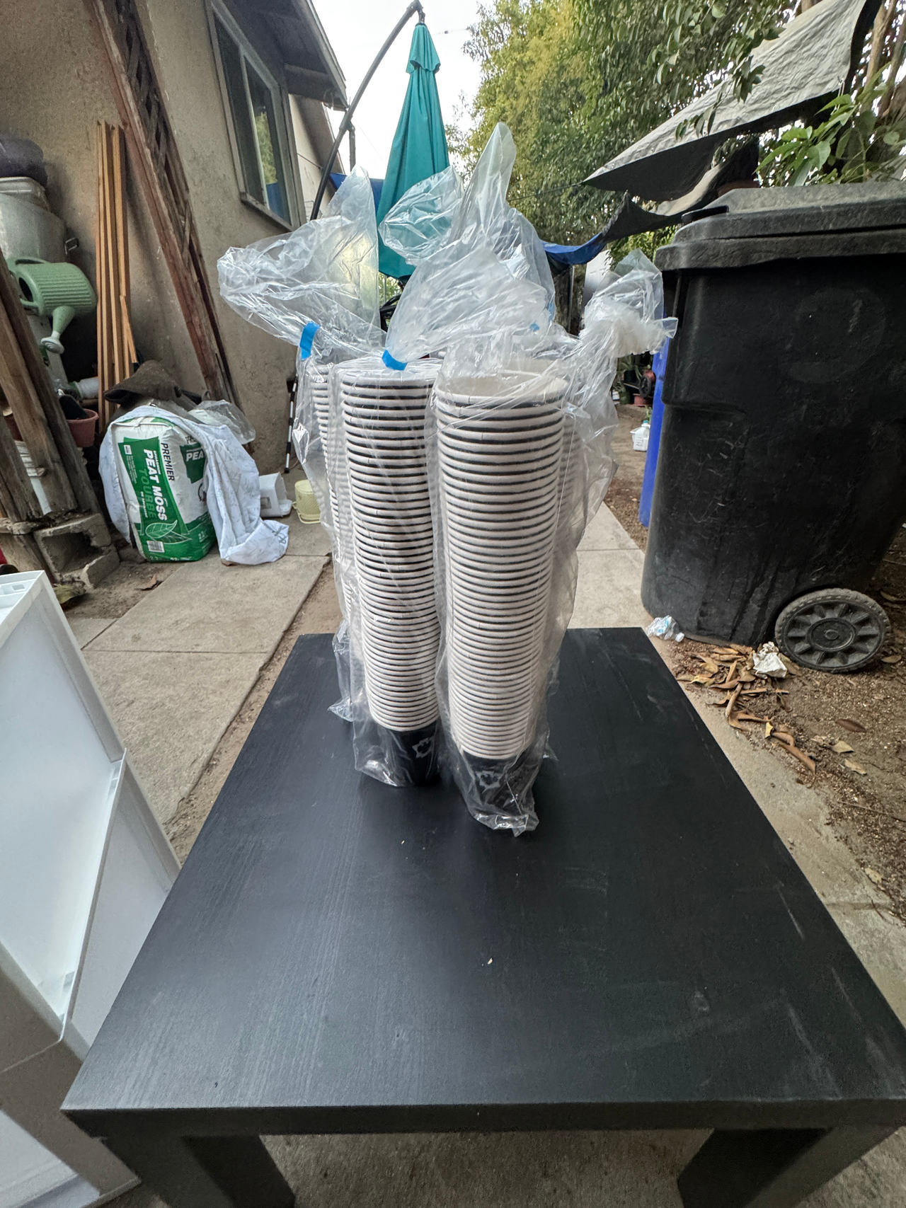 Disposable Paper Cups