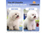 Slicker Brush for Dogs, Dog Grooming Supplies - Best Doodle & Poodle Brush Large - Image 4
