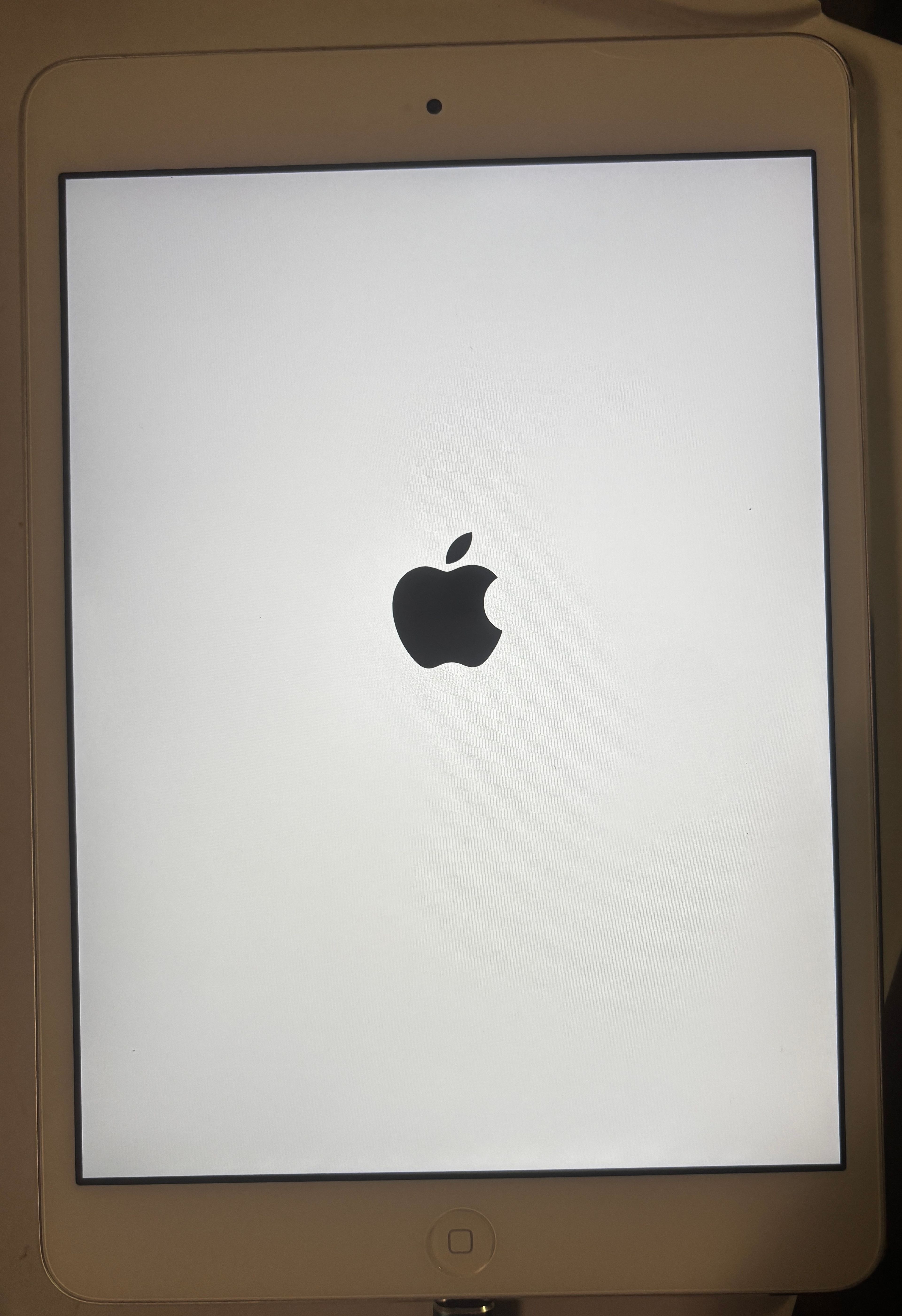 Apple iPad Mini 2 + AC Adapter + Charging Cable + Cute Protective Case - Image 4