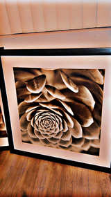 IKEA PJÄTTERYD Framed Succulent Wall Art - Image 3