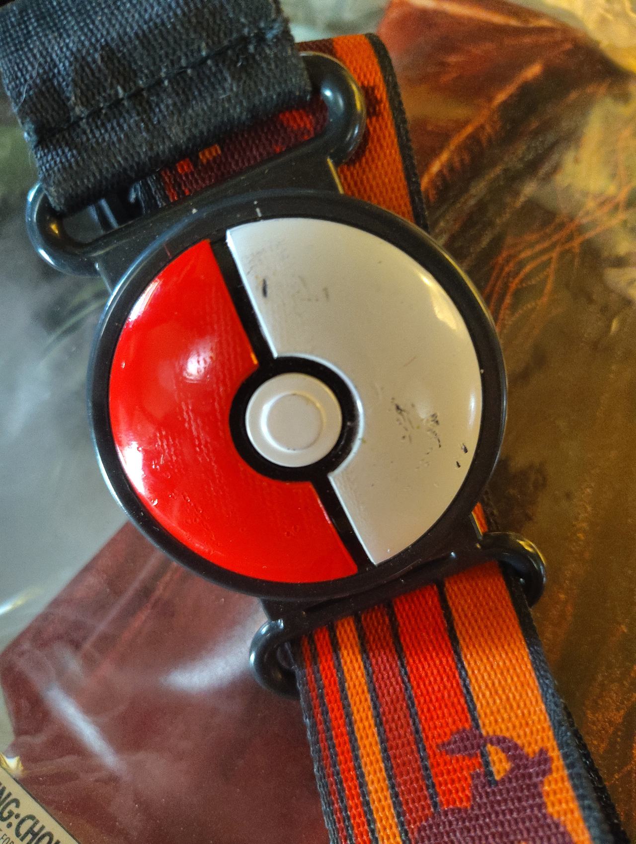 Buckle-Down Pokemon Charmander Seatbelt Belt
