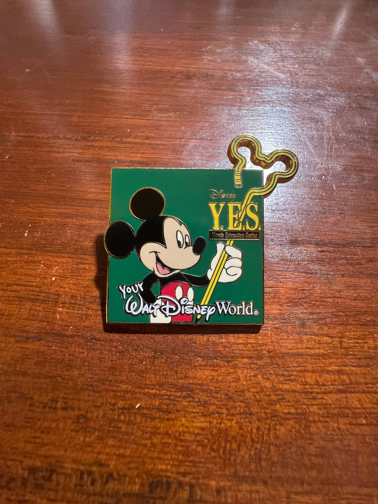 Disney Y.E.S. Program Pin
