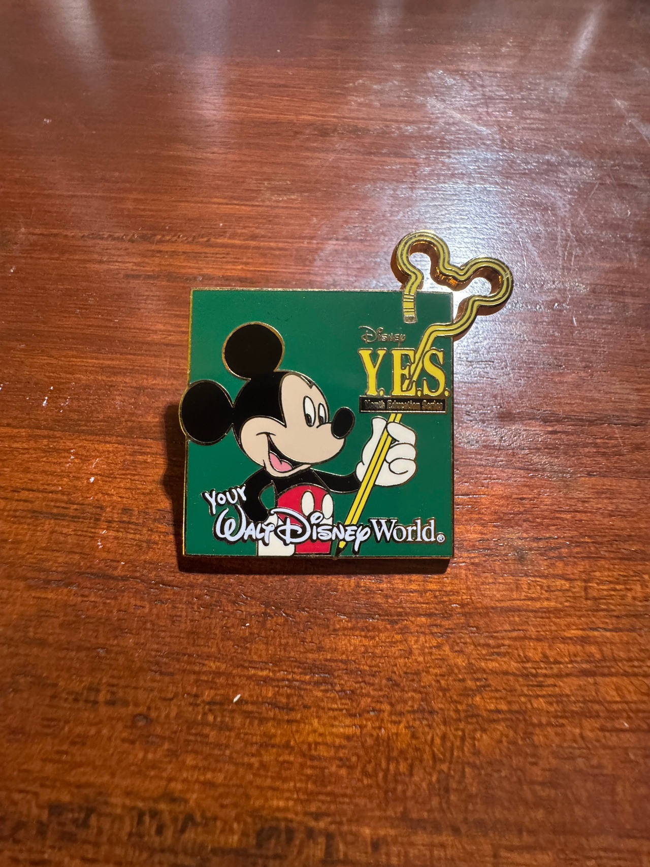 Disney Y.E.S. Program Pin