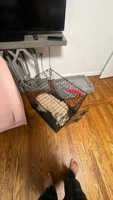 Wire Dog Crate - Image 2