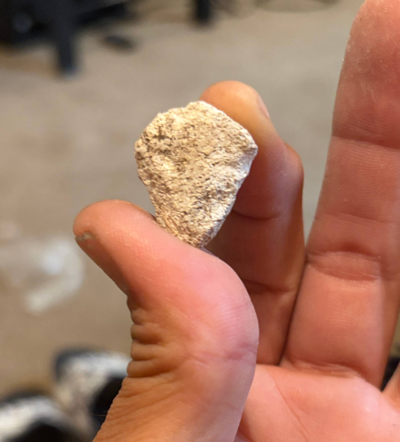 Authentic Native American Arrowhead Fragment