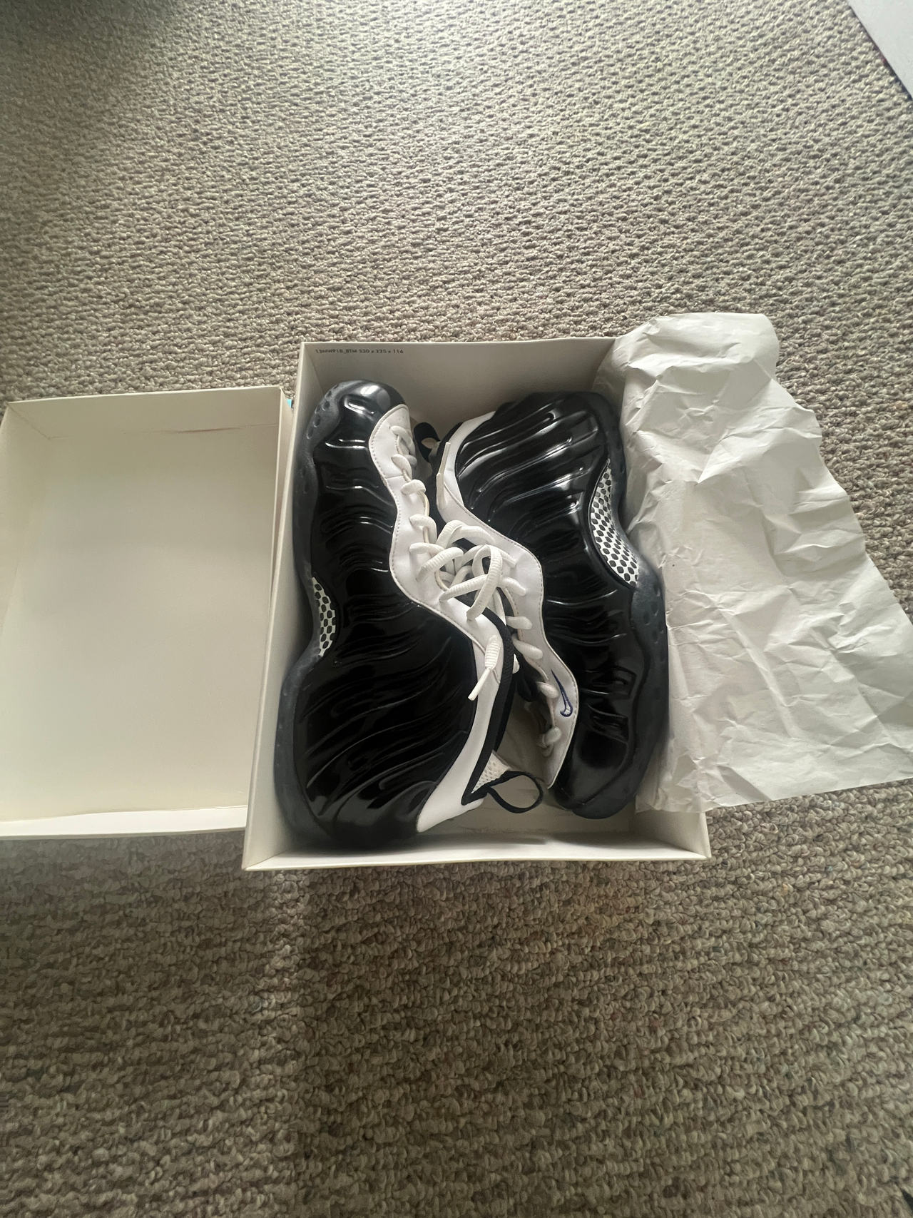 Nike Air Foamposite One