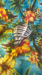 Black Murex Sea Shell - Image 6