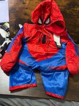 Marvel Spider-Man Pet Costume - Image 3