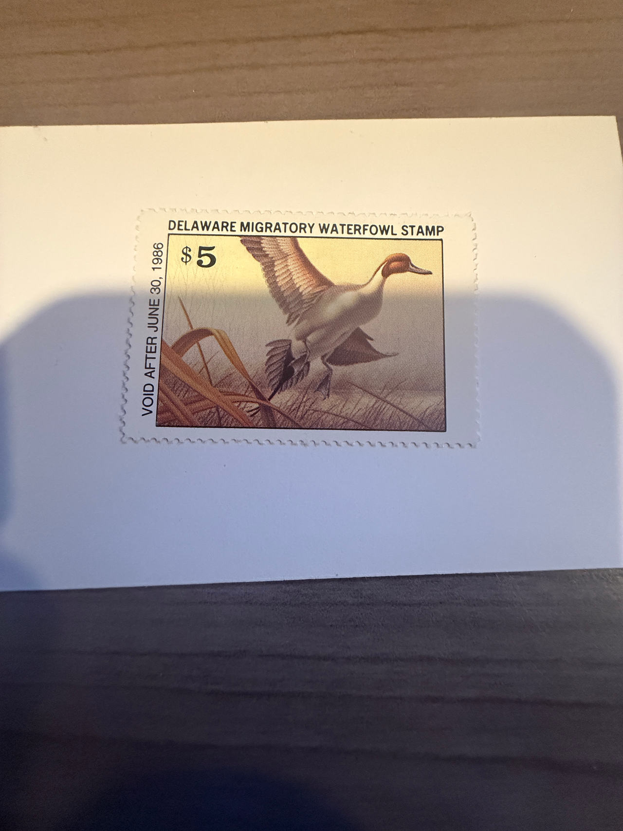 1985 Delaware Migratory Waterfowl Stamp Northern Pintail