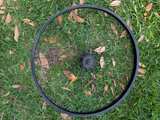 26" Heavy-Duty 48 Spoke Front BMX/Cruiser Wheel - Image 5