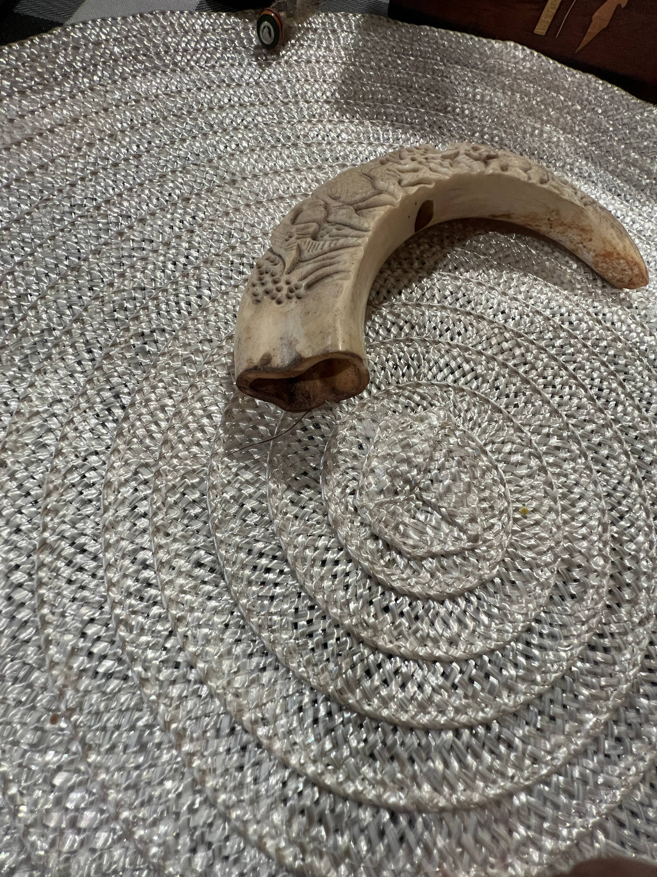 Vintage Carved Boar Tusk