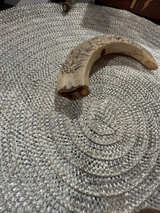 Vintage Carved Boar Tusk - Image 1
