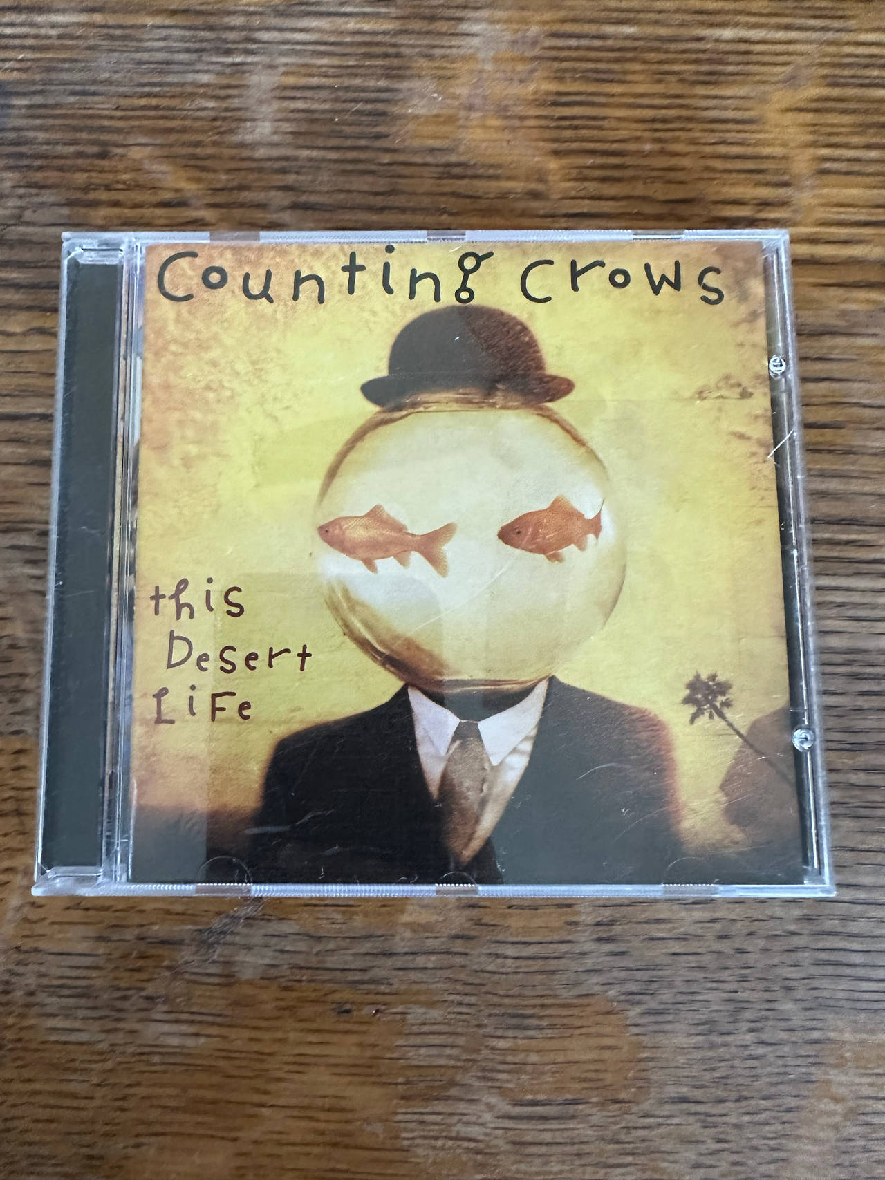Counting Crows - This Desert Life CD