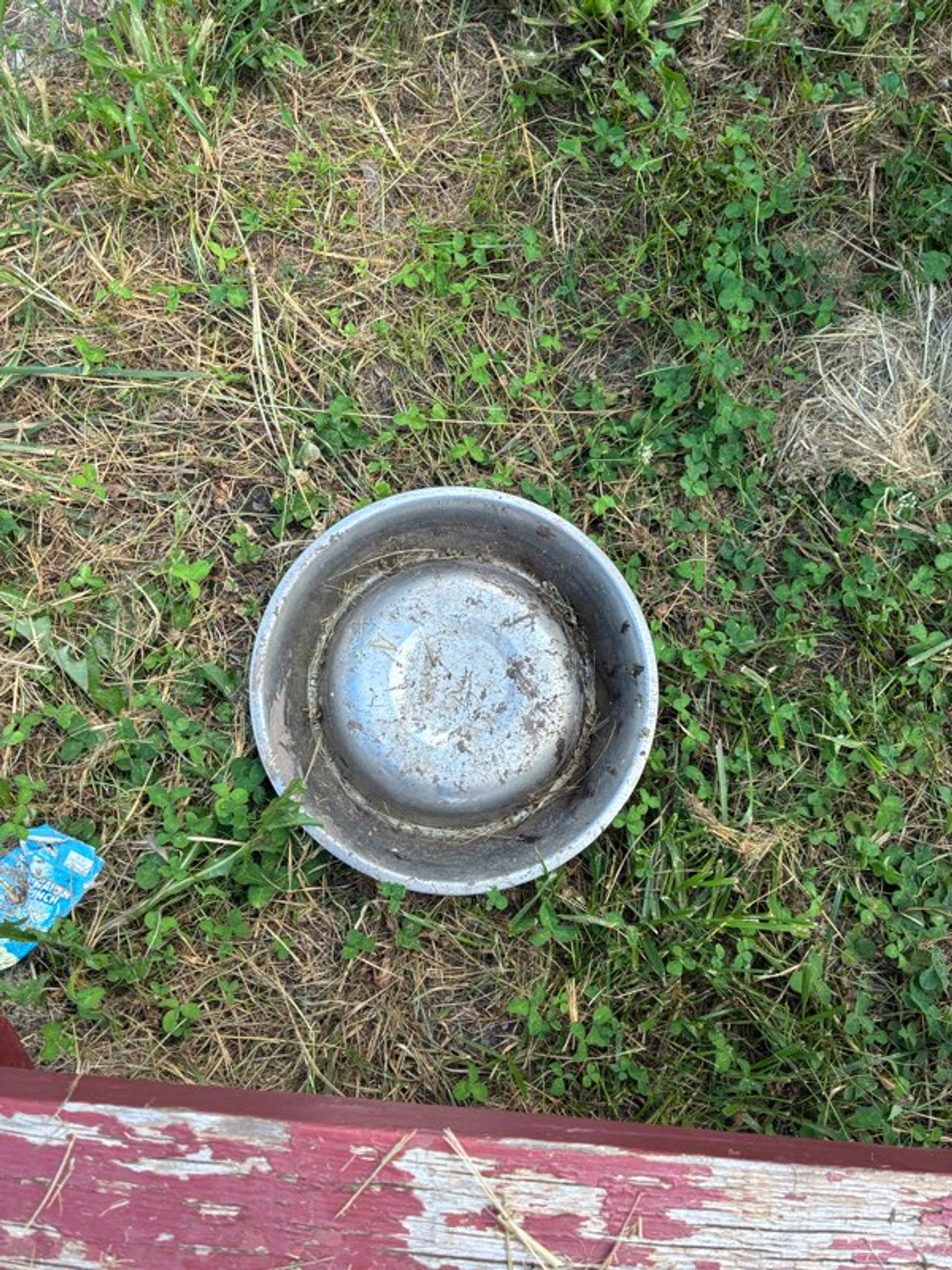 Stainless Steel Pet Bowl