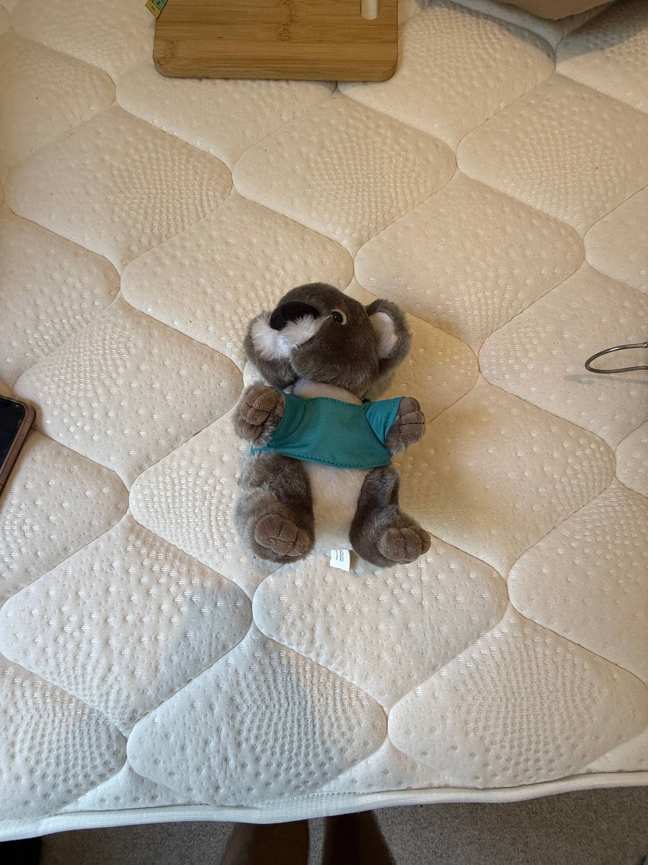 Koala Plush Toy