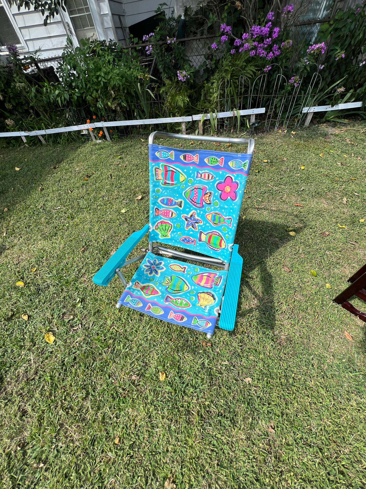 Folding Beach Chair