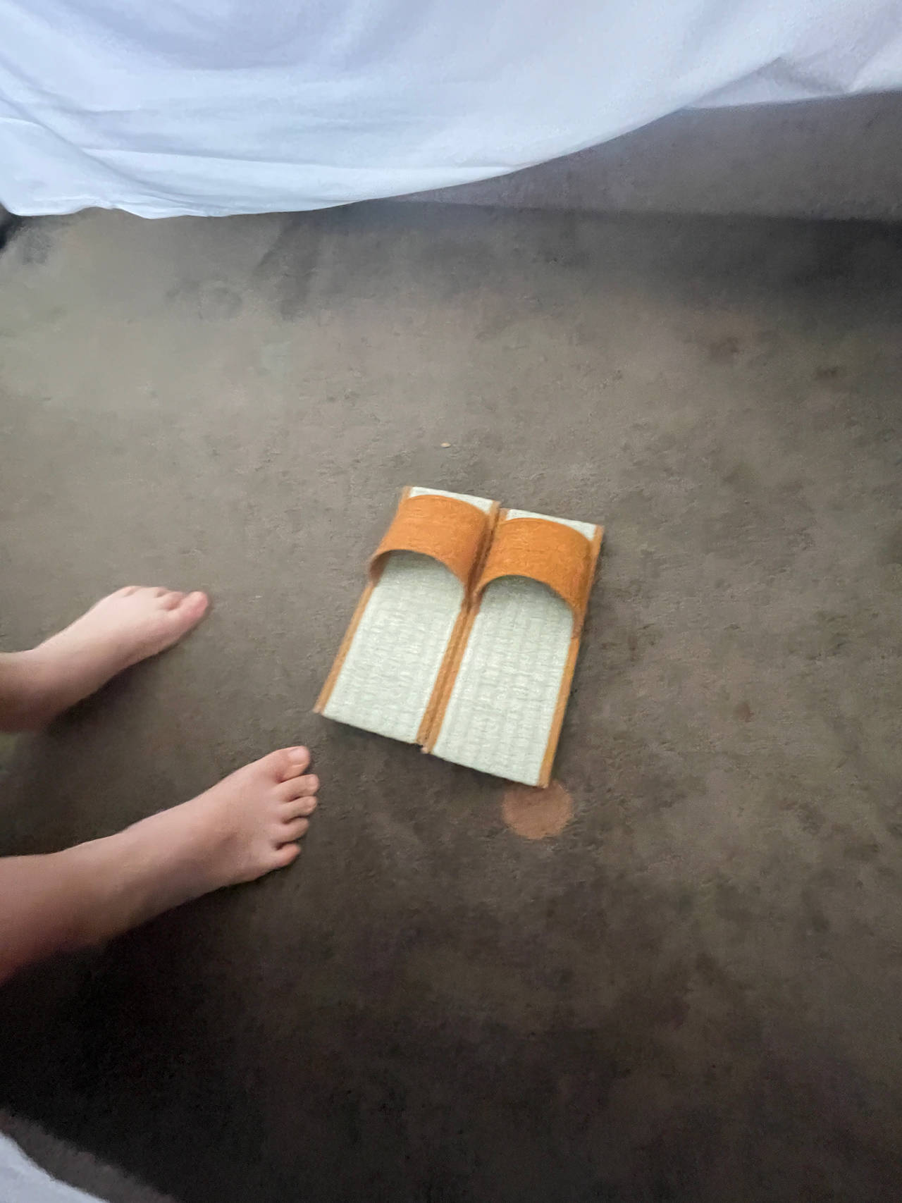 Tatami Slippers