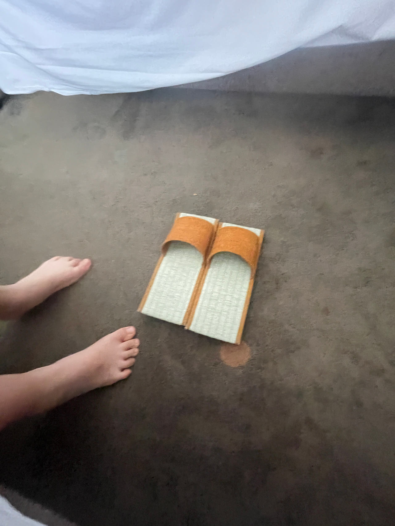 Tatami Slippers