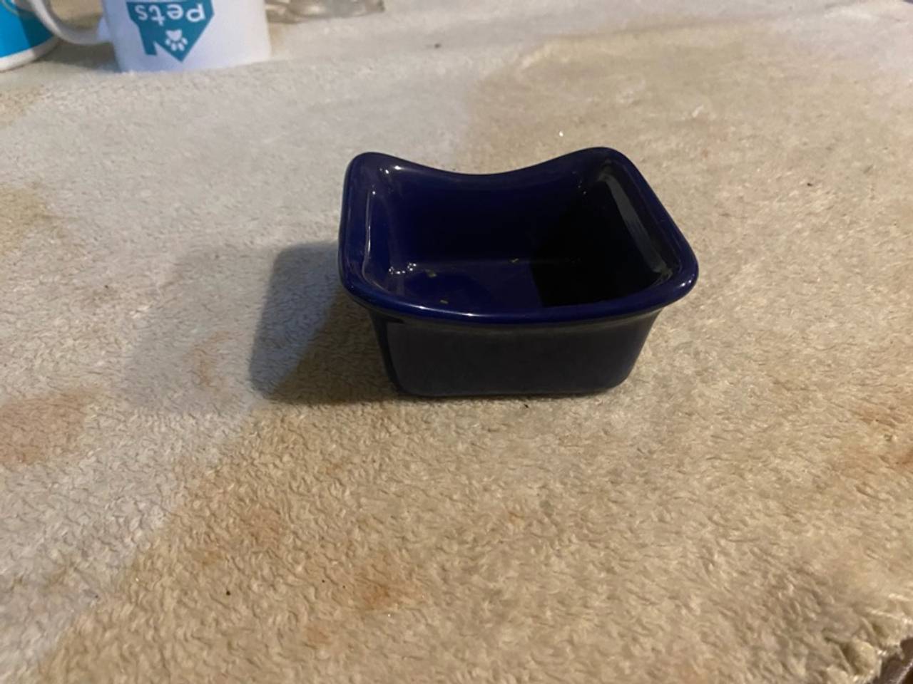Rachael Ray Blue Square Ramekins Set of 4