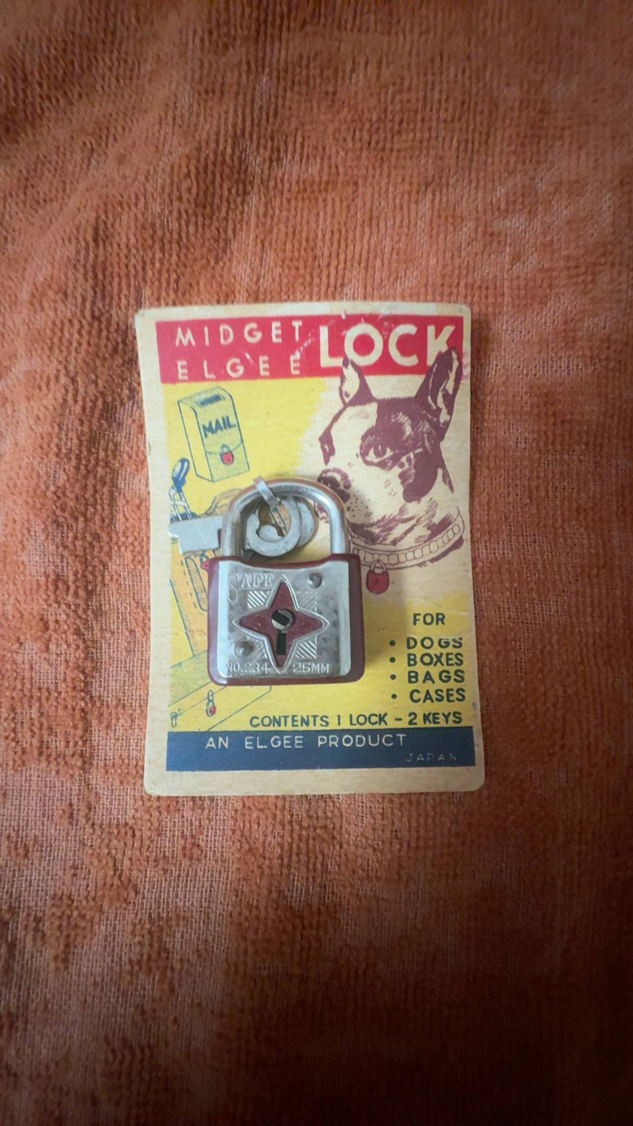 Master Vintage Padlock with Keys