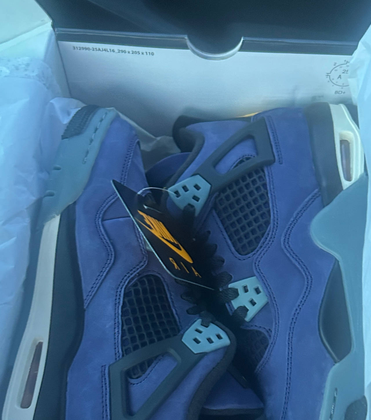 Air Jordan 4 Retro Canyon Purple (W)