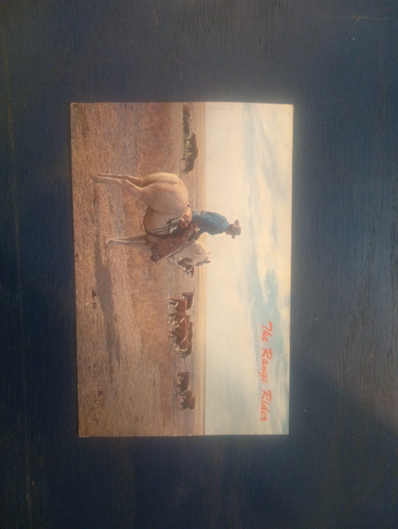 Vintage Dodge City Kansas Range Rider Postcard