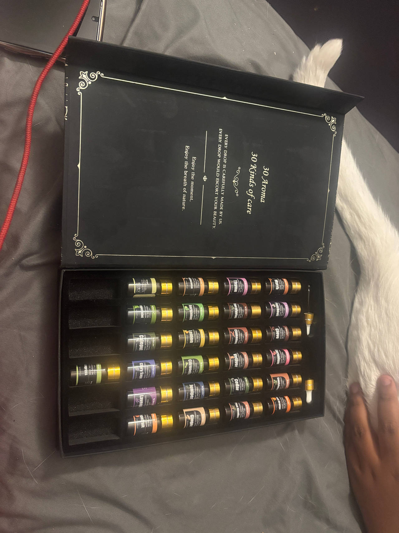 Essential Oil Gift Set