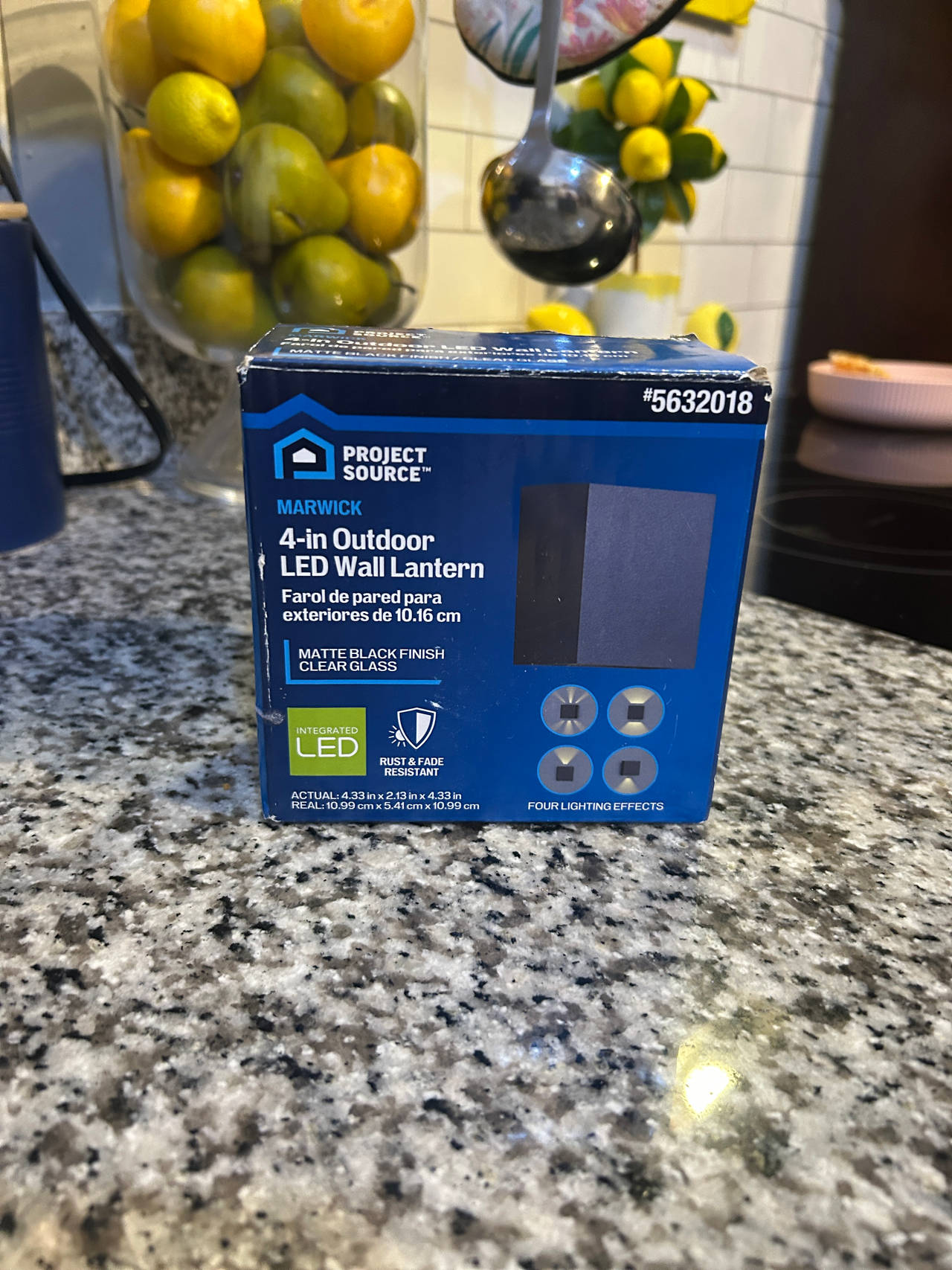 Project Source Marwick 4-in Outdoor LED Wall Lantern