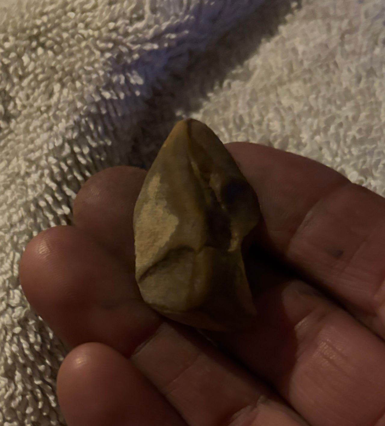 Native American Style Stone Artifact Fragment