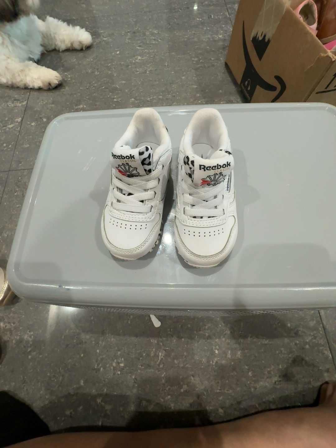 Reebok Classic Leather Kids Sneaker White
