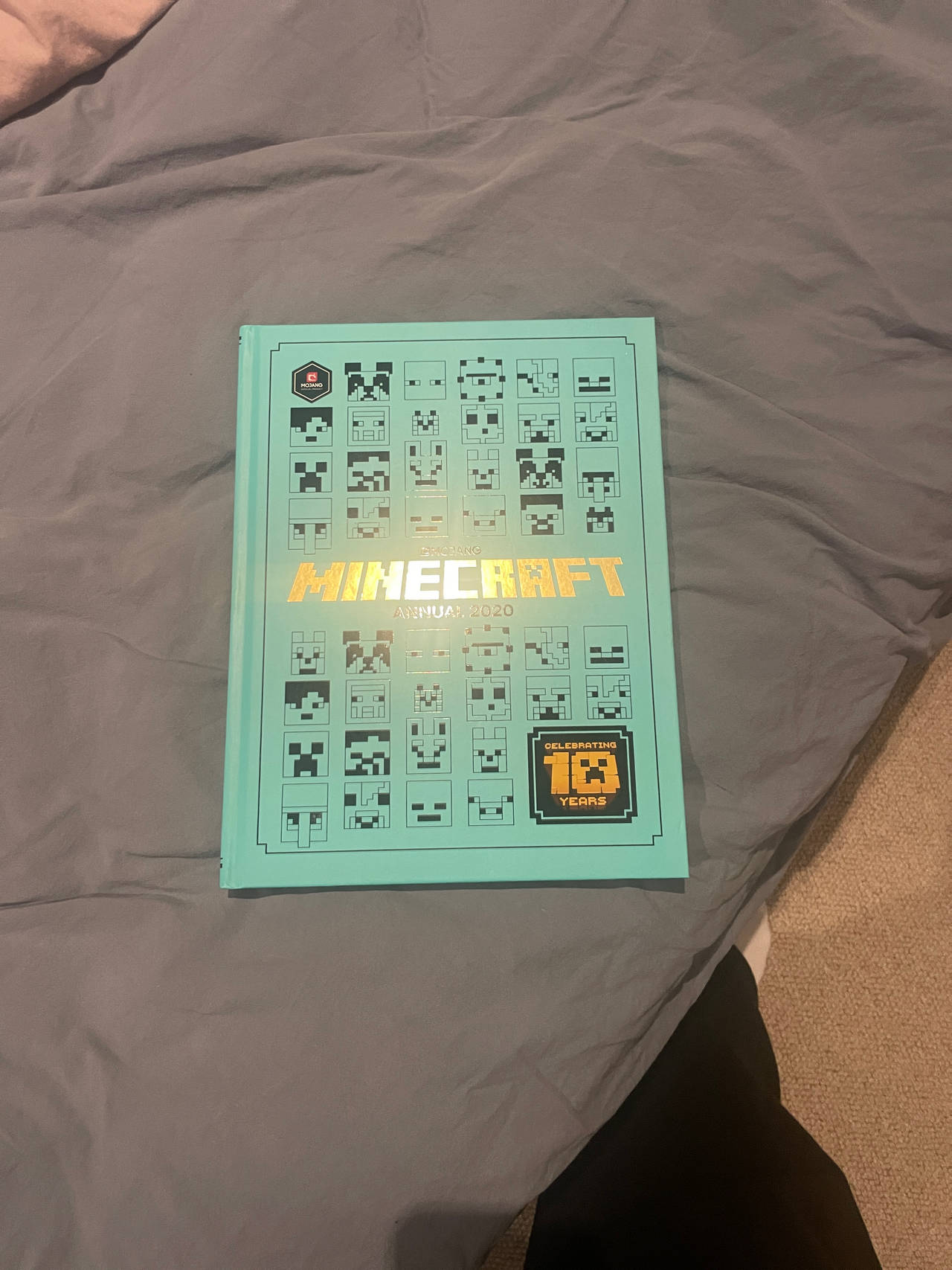 Minecraft Annual 2020