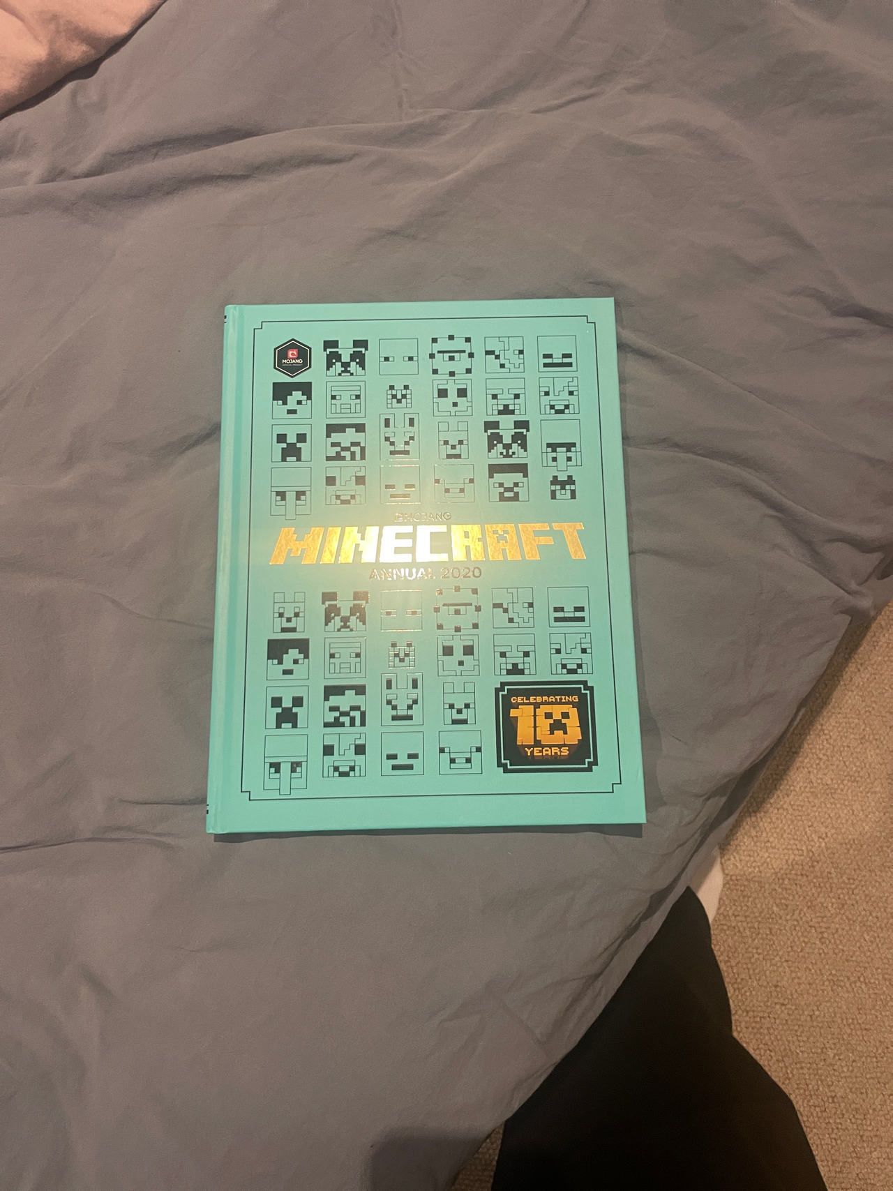 Minecraft Annual 2020