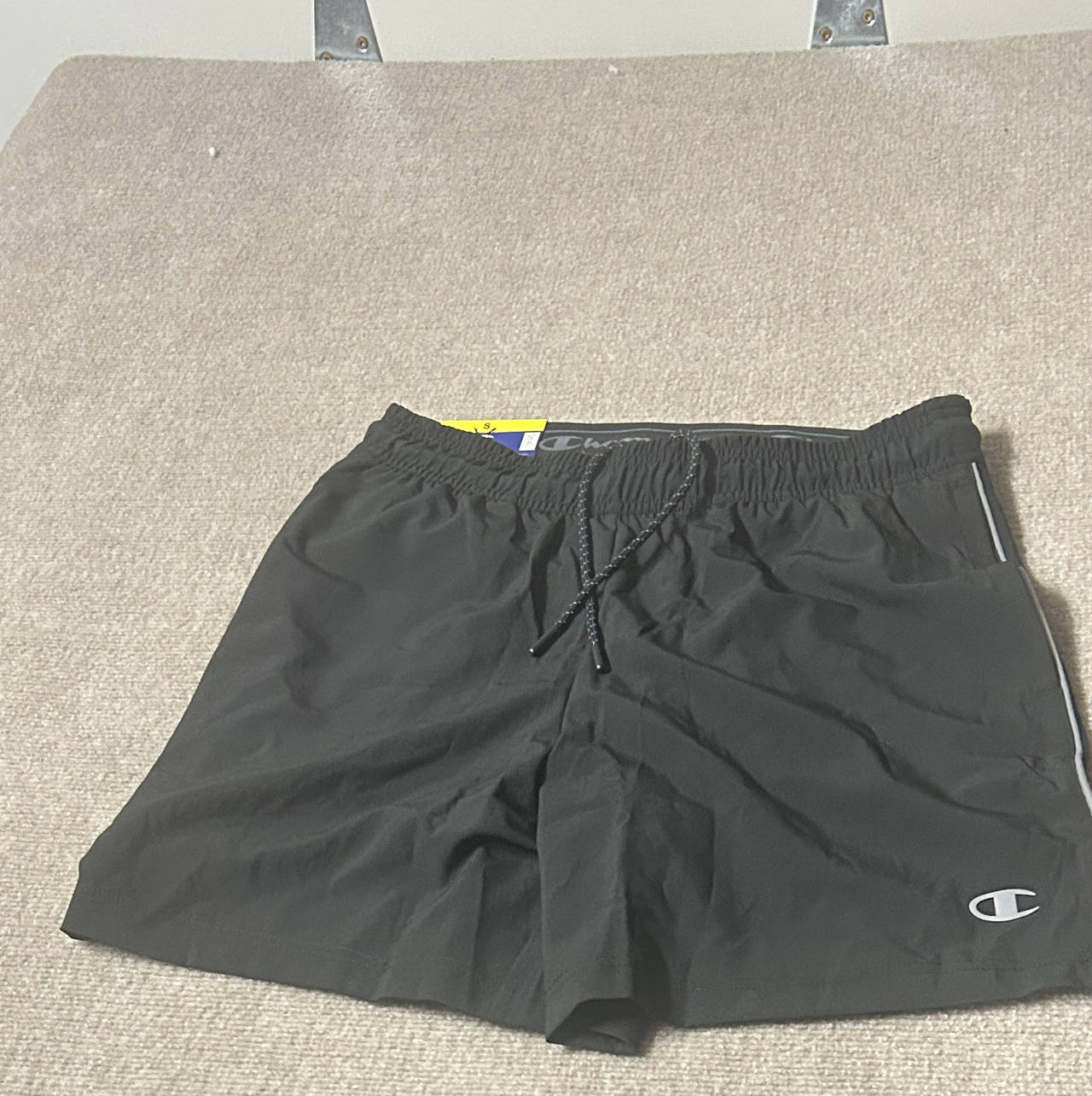 Champion Men's Performance Shorts